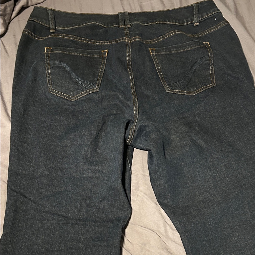 Lane Bryant Dark Blue Women's Jeggings